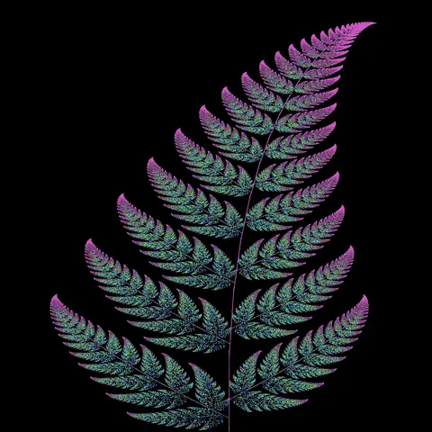 Quadro 15