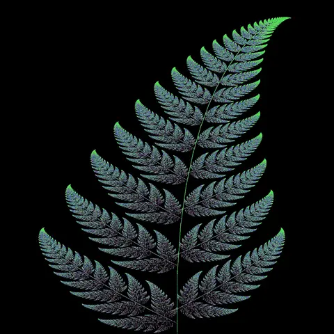 Quadro 19