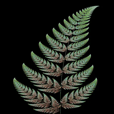 Quadro 24
