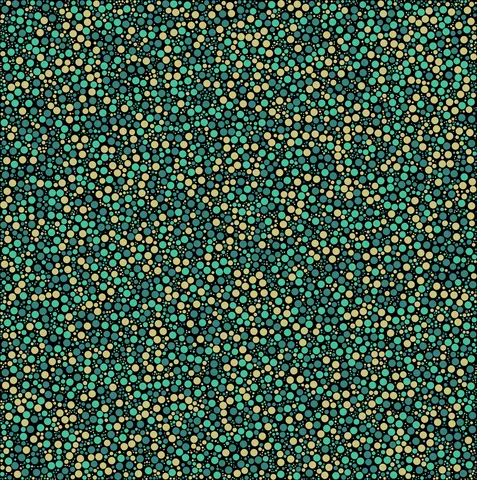 Quadro 5