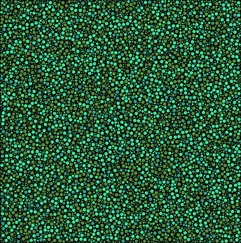 Quadro 6