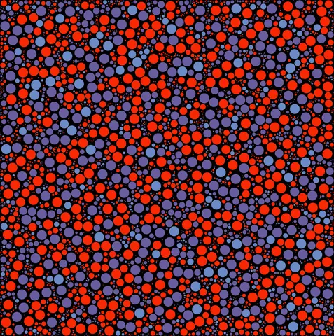 Quadro 8