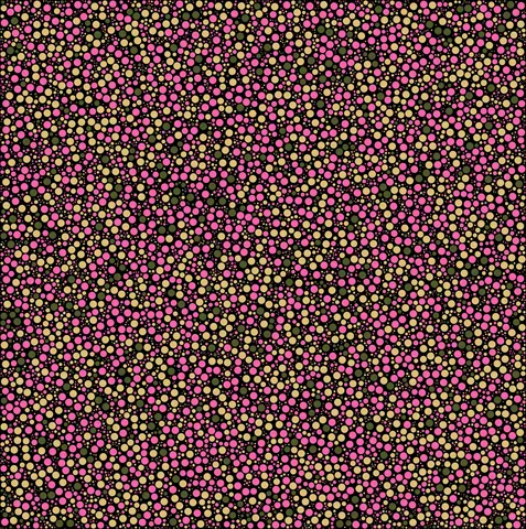 Quadro 10