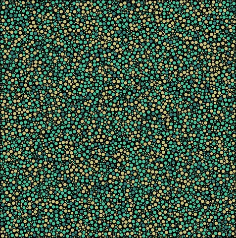 Quadro 11