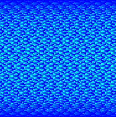 Quadro 11