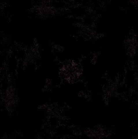Quadro 5